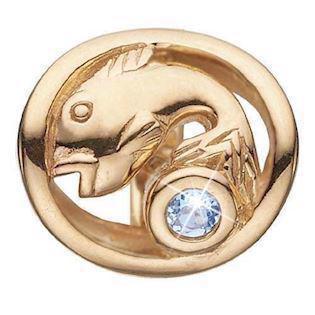 Christina Stjernetegn Fisk charm – forgyldt sølv, 6 mm til Classic læderarmbånd